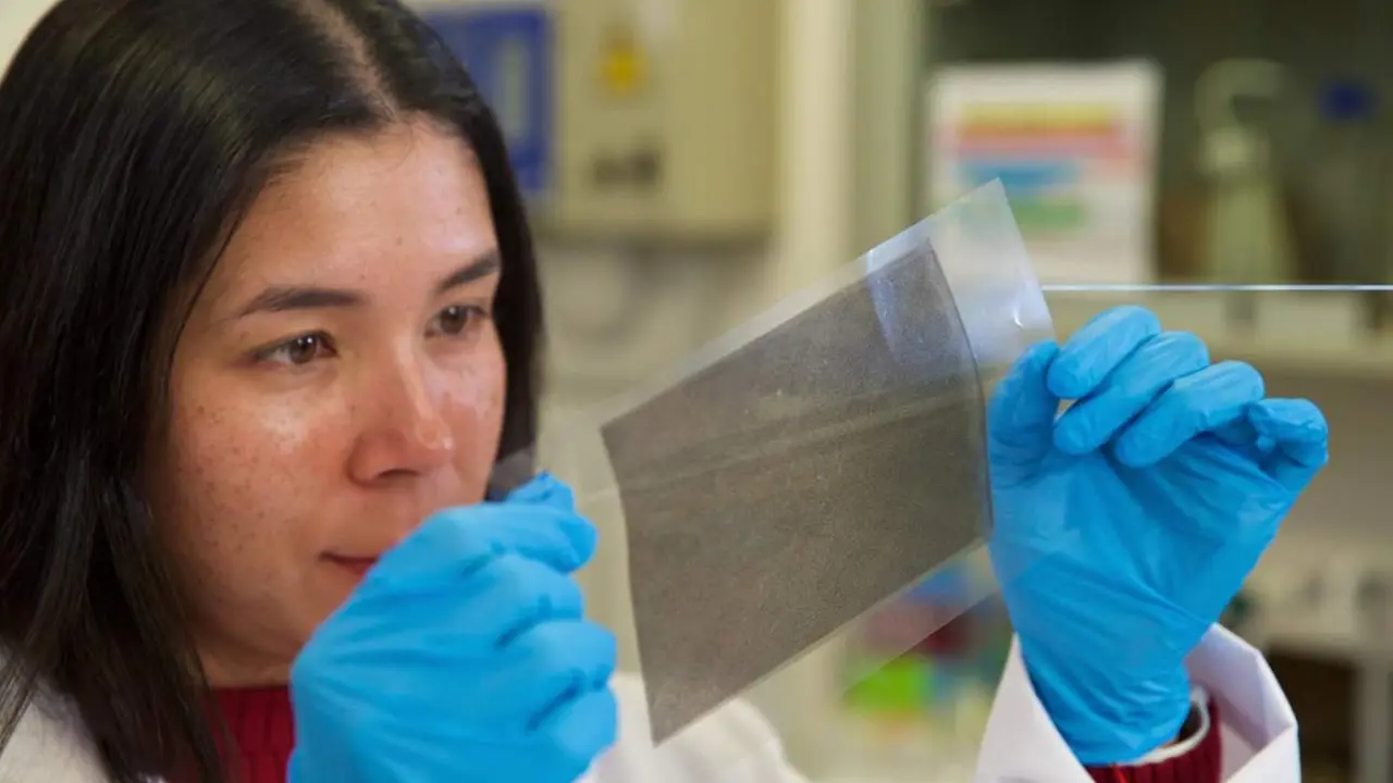  Investigadores de la UA trabajan en el desarrollo de un envase activo para la conservaci&oacute;n de frutas realizado con biomasa procedente de huesos de aceituna - UA 