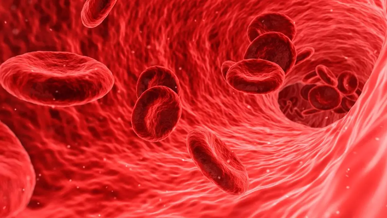  La arteria aorta es reconocida por primera vez como &oacute;rgano independiente en gu&iacute;as internacionales 