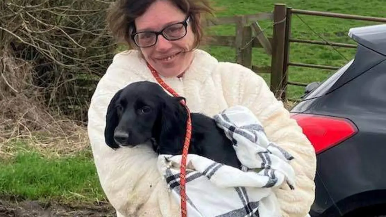  cachorro rescatado por un dron 
