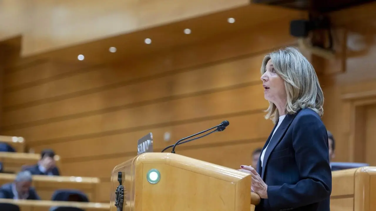  Archivo - La portavoz del PP en el Senado, Alicia Garc&iacute;a, interviene durante una sesi&oacute;n plenaria en el Senado, a 25 de enero de 2024, en Madrid (Espa&ntilde;a). La reforma del art&iacute;culo 49 de la Constituci&oacute;n, referido a las personas con discapacidad, concluye hoy - Alberto Ortega - Europa Press - Archivo 