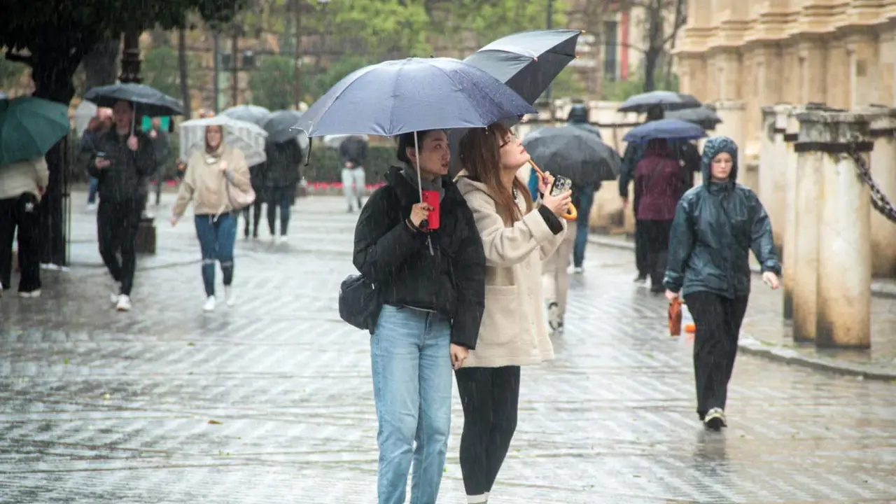  Varias personas se protegen de la lluvia bajo sus paraguas. A 9 de febrero de 2024, en Sevilla (Andaluc&iacute;a, Espa&ntilde;a). La borrasca 'Karlotta' activa avisos por lluvia, viento y oleaje en todas las provincias andaluzas. - Mar&iacute;a Jos&eacute; L&oacute;pez - Europa Press 