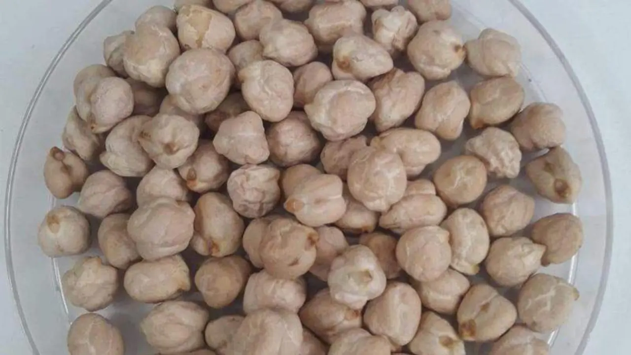  Garbanzos de C&oacute;rdoba 