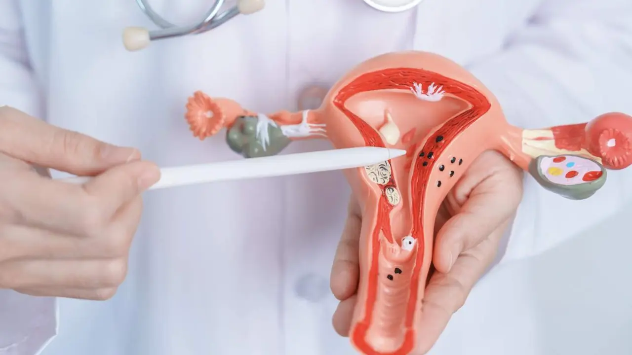  Solo 5% de las mujeres se realizan pruebas de ITS, la mitad que la media mundial 