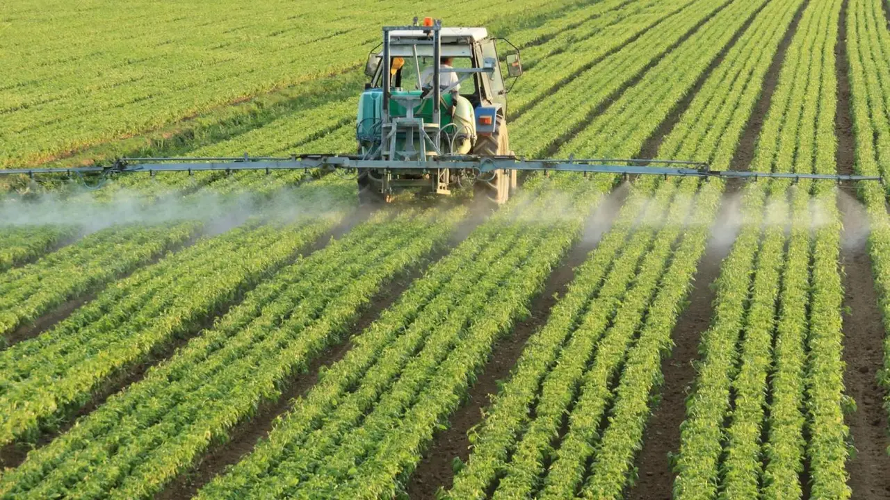  Archivo - Cultivo - MINISTERIO DE AGRICULTURA, PESCA Y ALIMENTACI&Oacute;N 