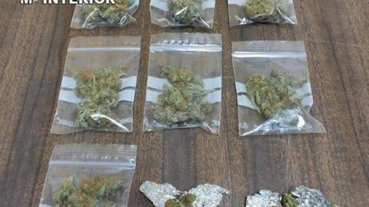  MARIHUANA VILLAVICIOSA 1 