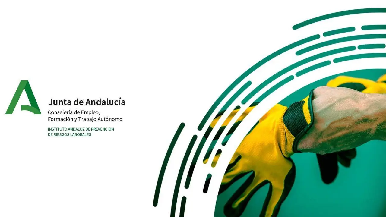  Junta de Andaluc&iacute;a 
