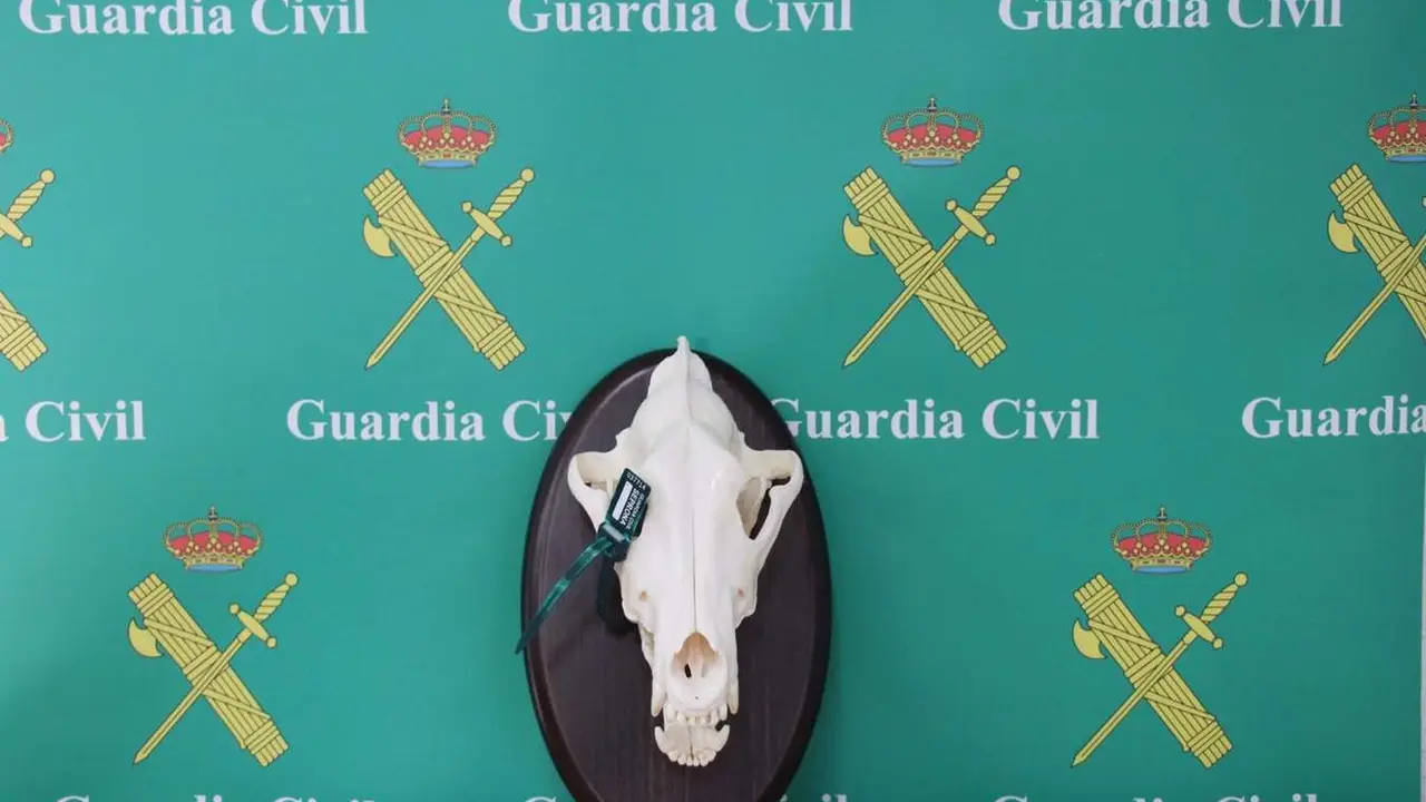  Cazadores investigados por la Guardia Civil | EP 
