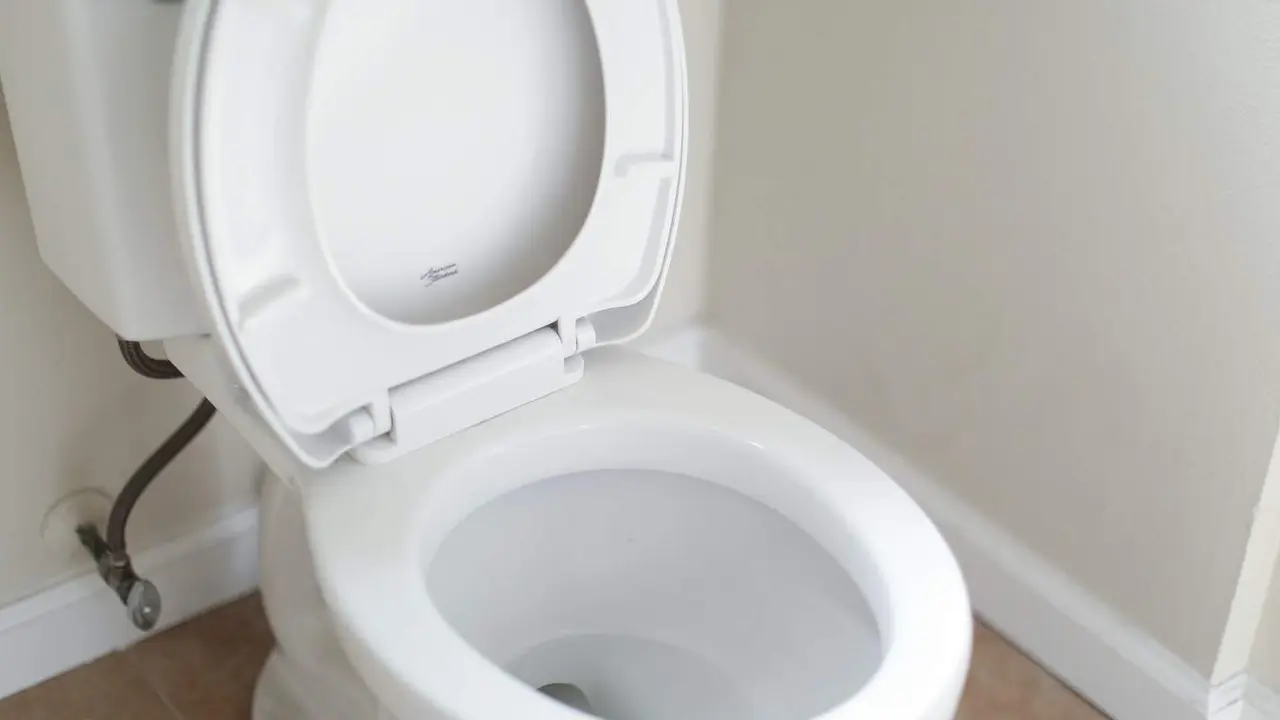  Nuevo estudio tapa de inodoro 