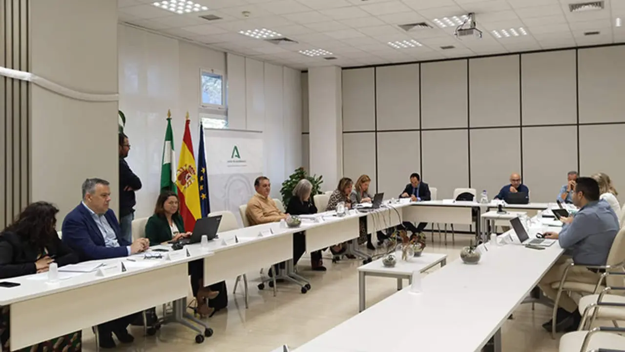  Comit&eacute; director del Plan Estrat&eacute;gico de Salud Mental y Adicciones de Andaluc&iacute;a | Junta de Andaluc&iacute;a 