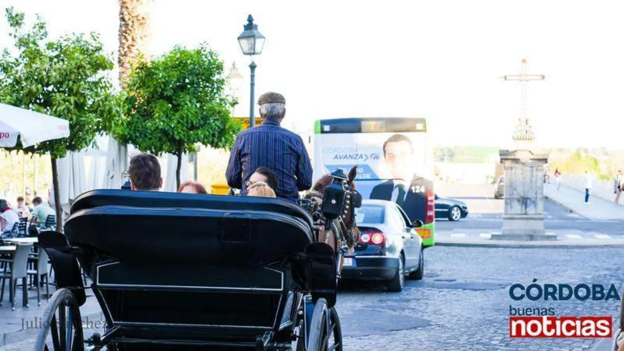  Coche de caballos con turistas en el Casco Hist&oacute;rico. Julio S&aacute;nchez 