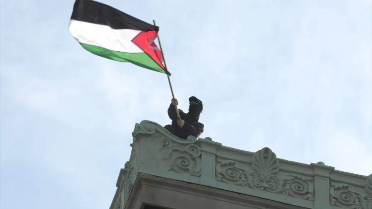  Persona ondeando la bandera de Palestina 