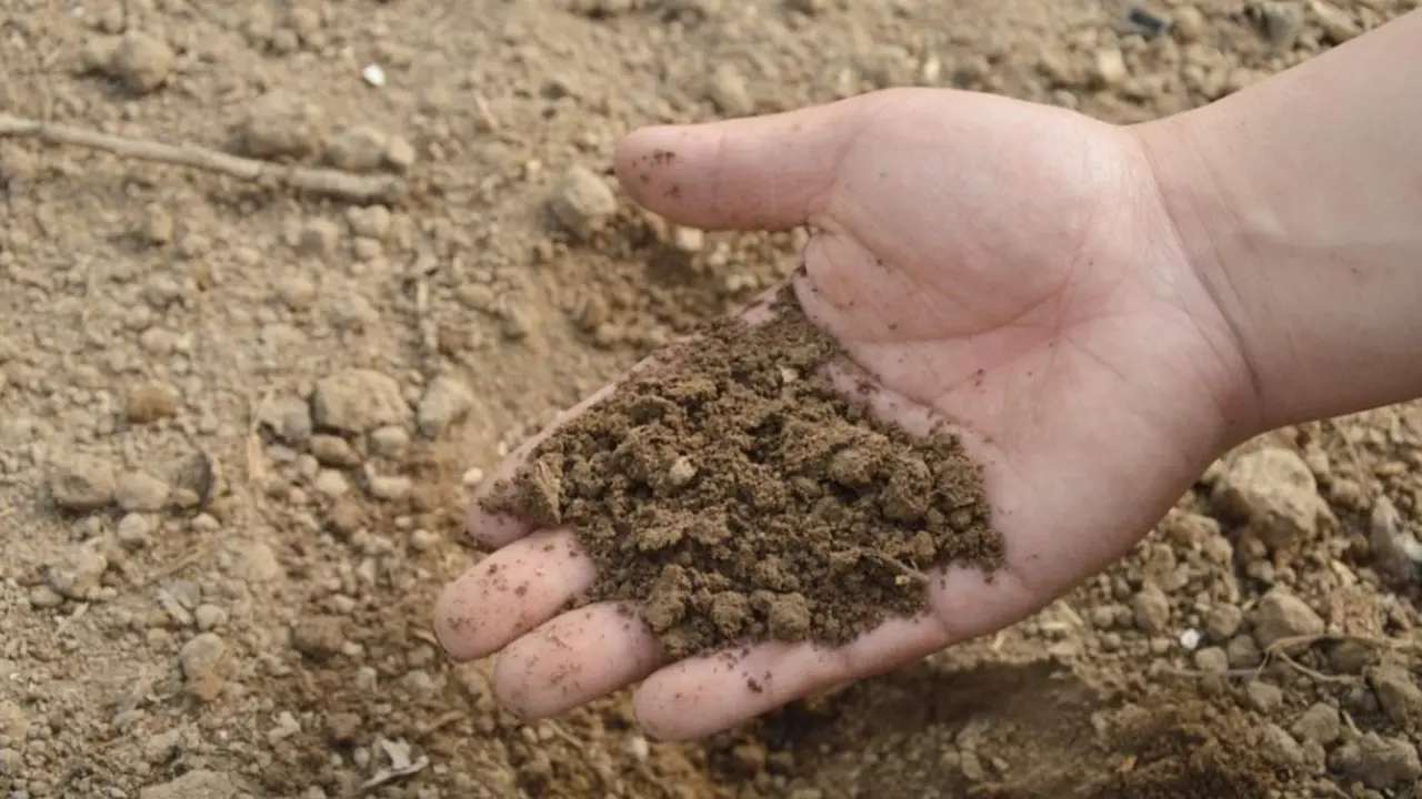  Un estudio sobre la profundidad del suelo en EEUU determina c&oacute;mo el clima y el uso humano afectan a su erosi&oacute;n 