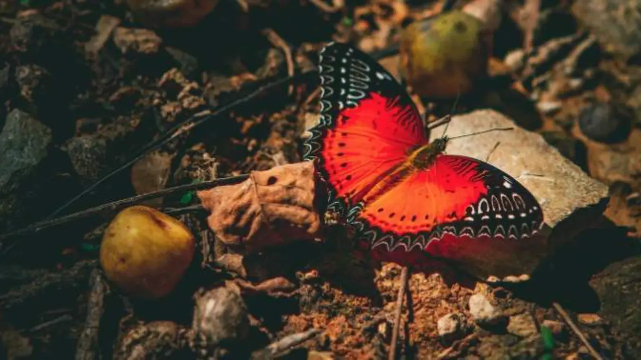  Raimond Klavins &ndash; Unsplash 