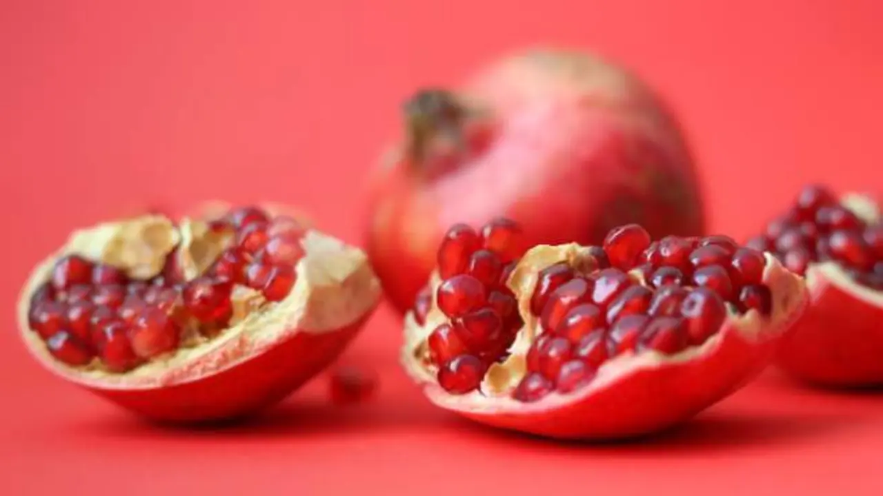  Foto by Sahand Babal 