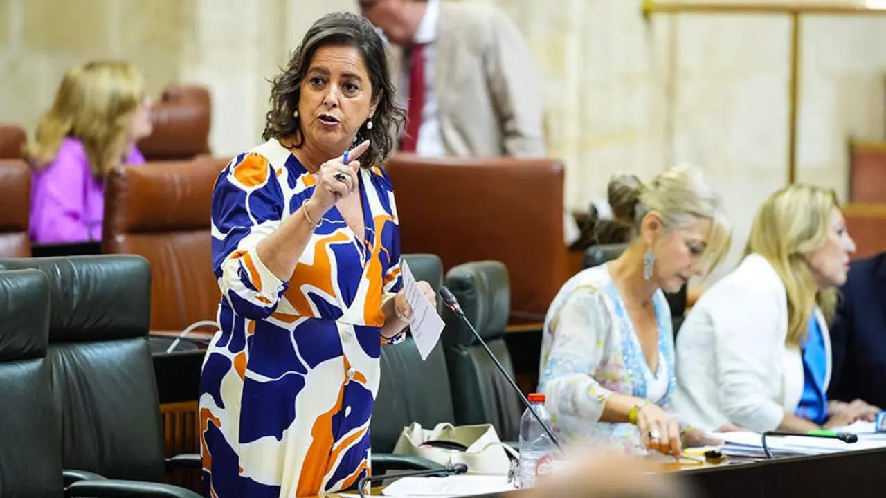  Catalina Garc&iacute;a, consejera de Salud y Consumo 