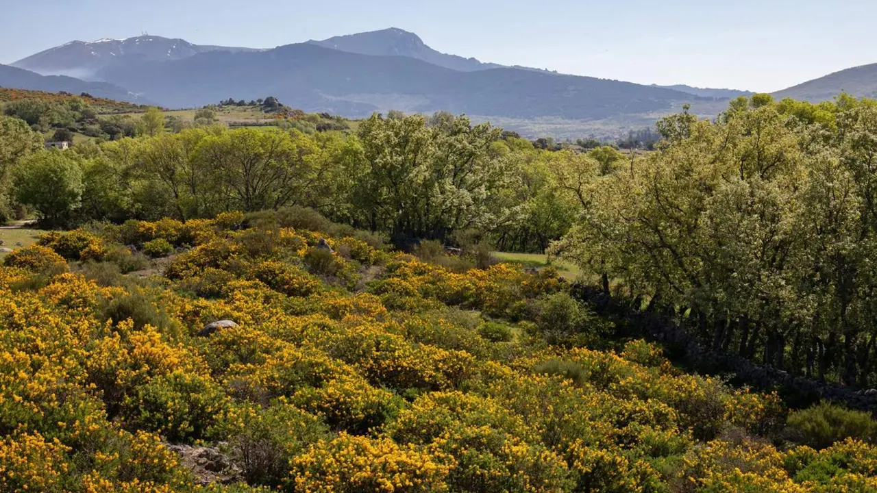  Archivo - Imagen de Los Molinos, Madrid (Espa&ntilde;a). - Rafael Bastante - Europa Press - Archivo 