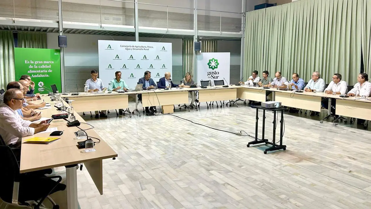  Mesa Andaluza de los C&iacute;tricos 