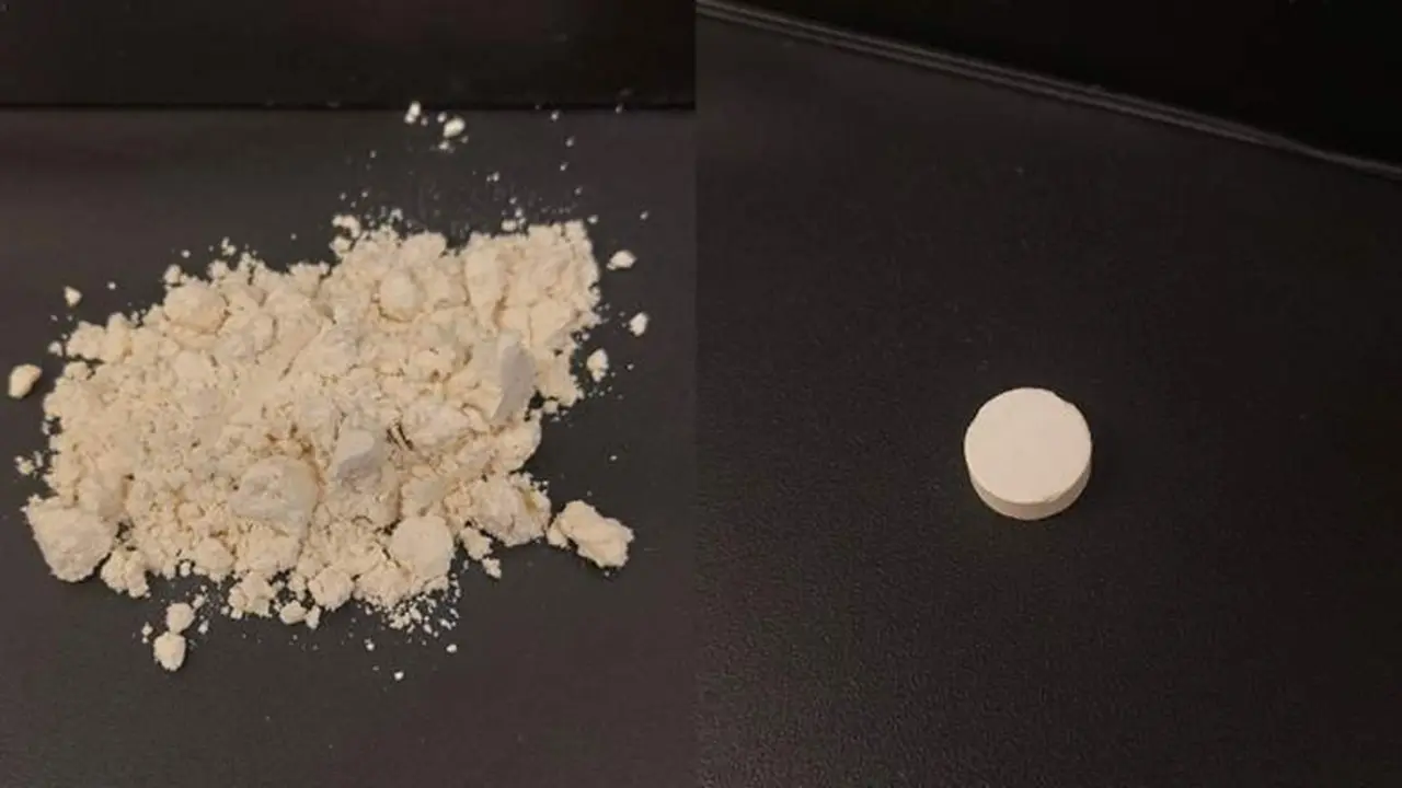  Pastilla de soja biodegradable |&nbsp;Junta de Andaluc&iacute;a 