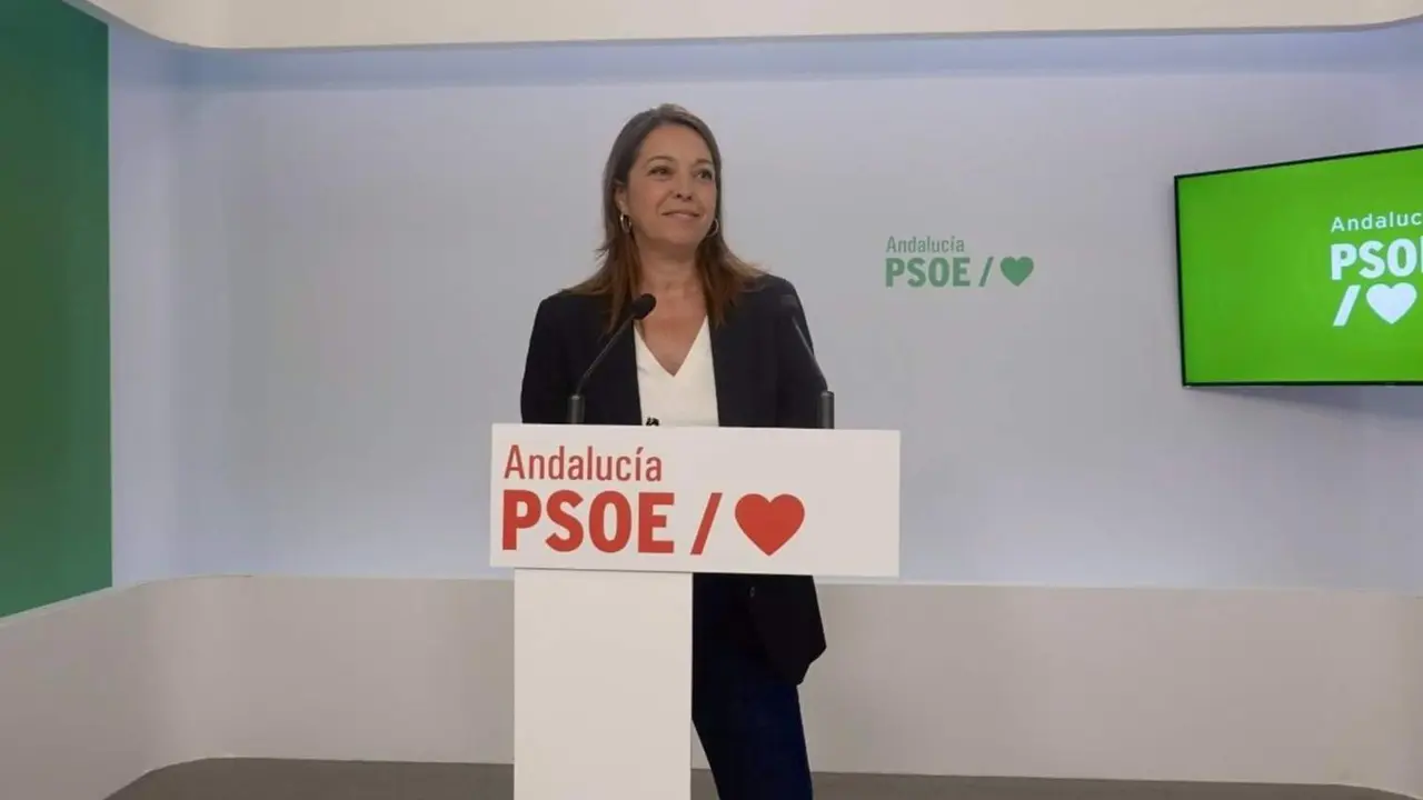  La portavoz adjunta del Grupo Socialista y portavoz del Gobierno alternativo de este partido, Isabel Ambrosio, este lunes en rueda de prensa. - PSOE DE ANDALUC&Iacute;A 