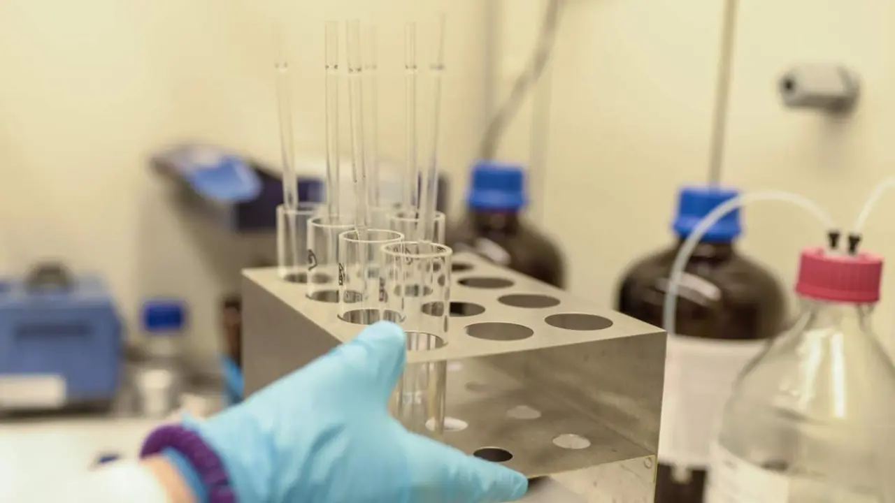  Archivo - Un estudio de la Fundaci&oacute;n Fisabio y la Universidad Complutense de Madrid asocia por primera vez el par&aacute;sito anisakis - GVA - Archivo 