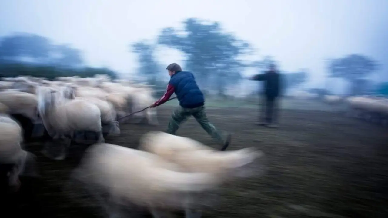  Foto ganadora concurso | Junta de Andaluc&iacute;a 