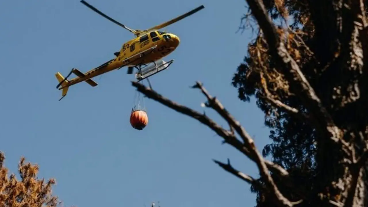  Un helic&oacute;ptero interviene en las labores de extinci&oacute;n - GOBIERNO DE CANARIAS | EP 
