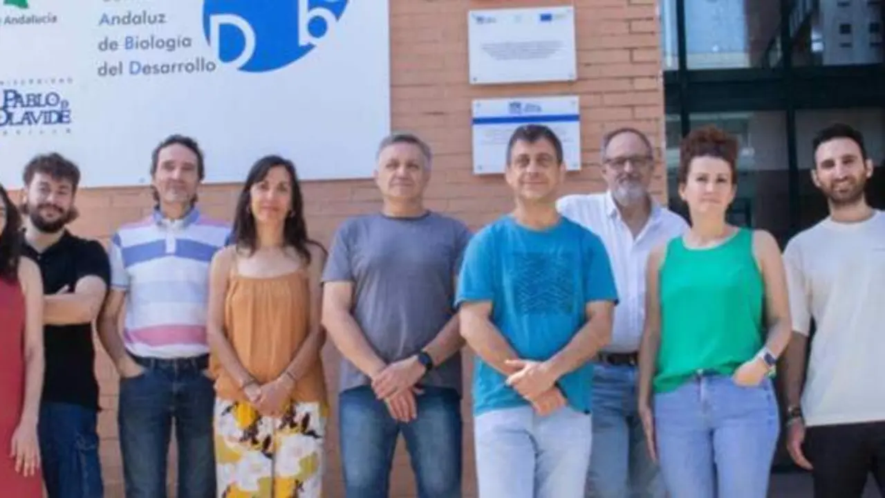  El grupo de investigaci&oacute;n &lsquo;Regulaci&oacute;n de la s&iacute;ntesis de coenzima Q y sus implicaciones en la salud mitocondrial&rsquo;, dirigido por Carlos Santos Oca&ntilde;a (en el centro de la imagen) | Ciber ONC 