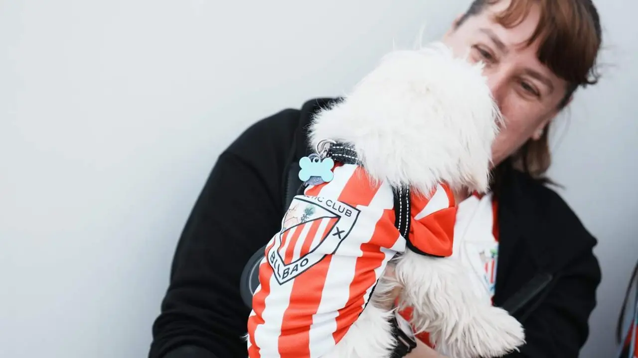  Archivo - Un perro con una camiseta del Athletic Club de Bilbao, a 5 de abril de 2024, en Lezama, Vizcaya, Pa&iacute;s Vasco (Espa&ntilde;a). - H.Bilbao - Europa Press - Archivo 
