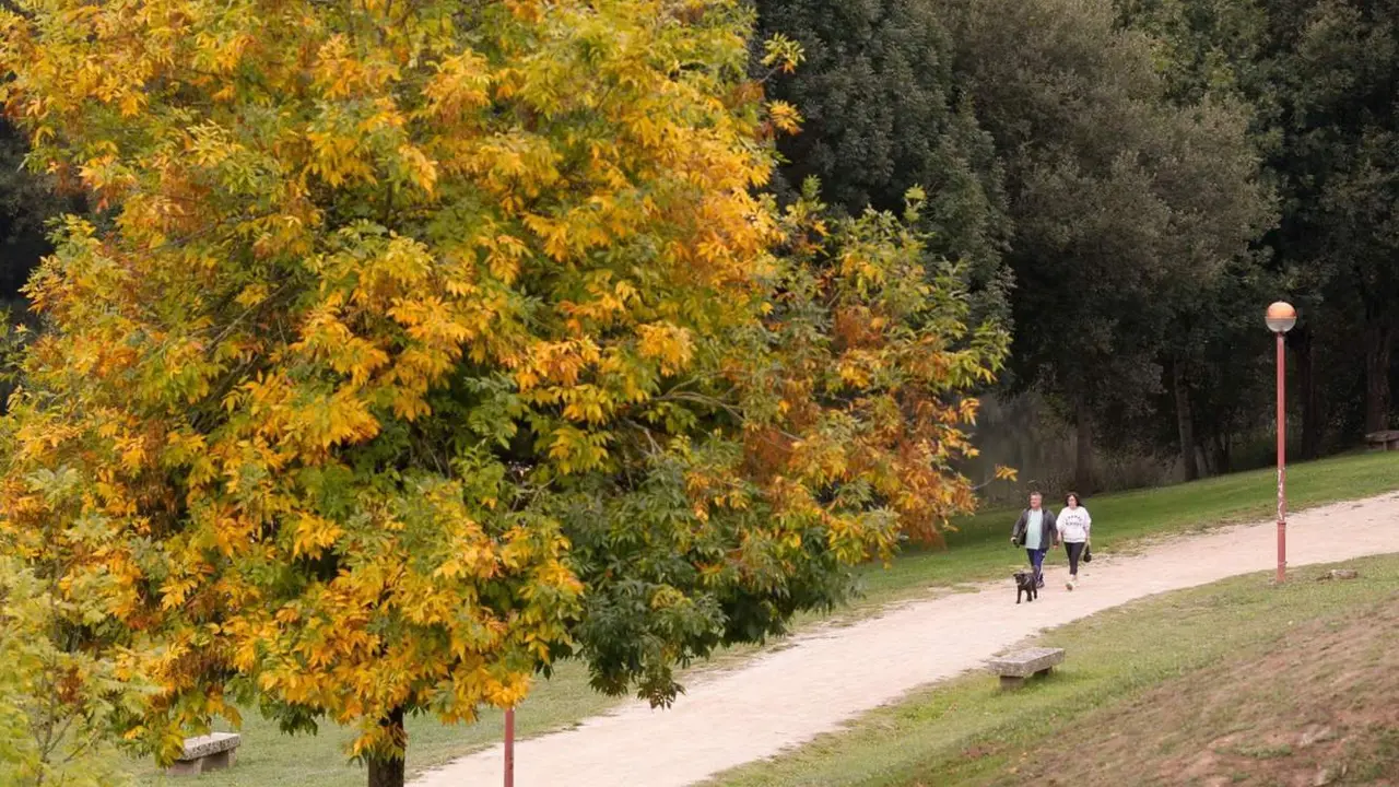  Dos personas caminan por un parque - Carlos Castro - Europa Press 
