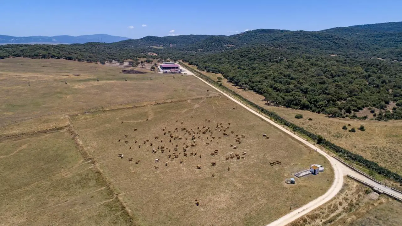 Agricultura ecol&oacute;gica 