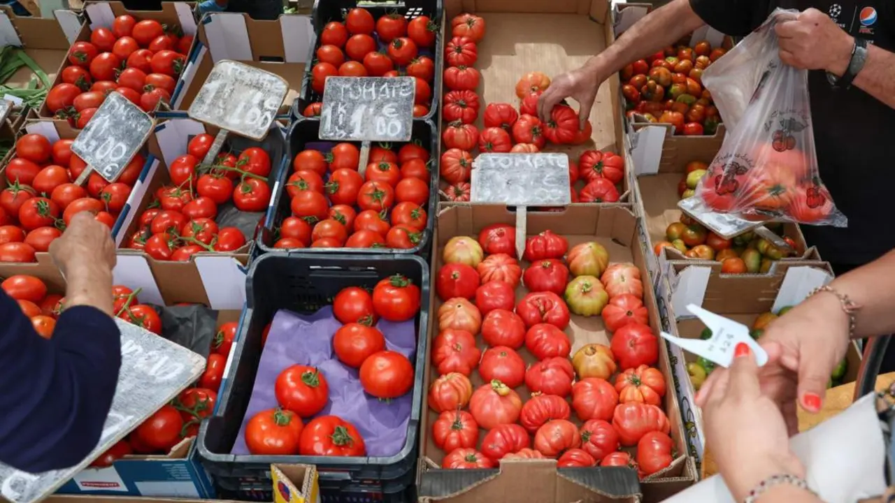  Archivo - Cajas de tomates en un mercado de la Comunidad de Madrid - Marta Fern&aacute;ndez Jara - Europa Press - Archivo 