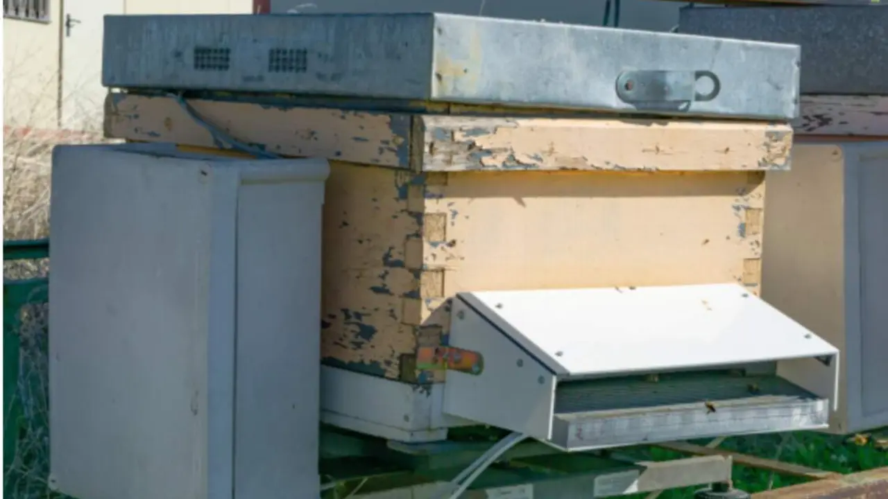  Fotograf&iacute;a del contador de abejas. Fuente: IEEE Access 