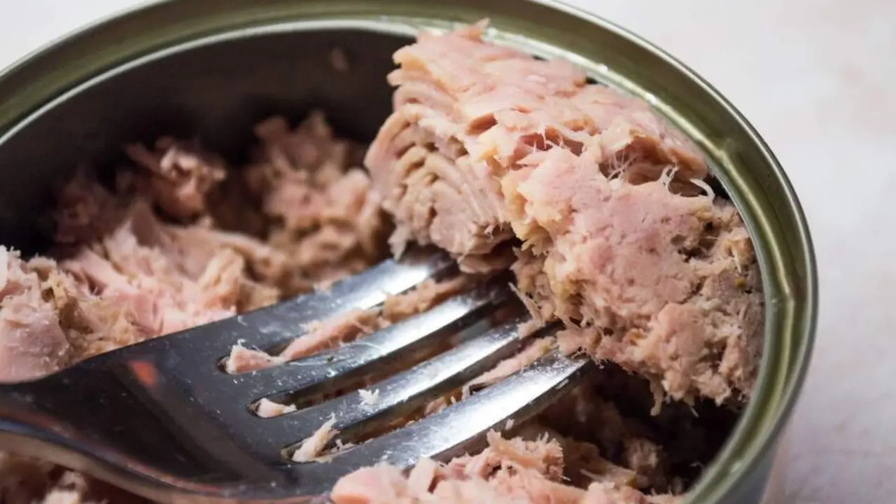  M&aacute;s del 50% de latas de at&uacute;n del mercado europeo supera el m&aacute;ximo de mercurio 