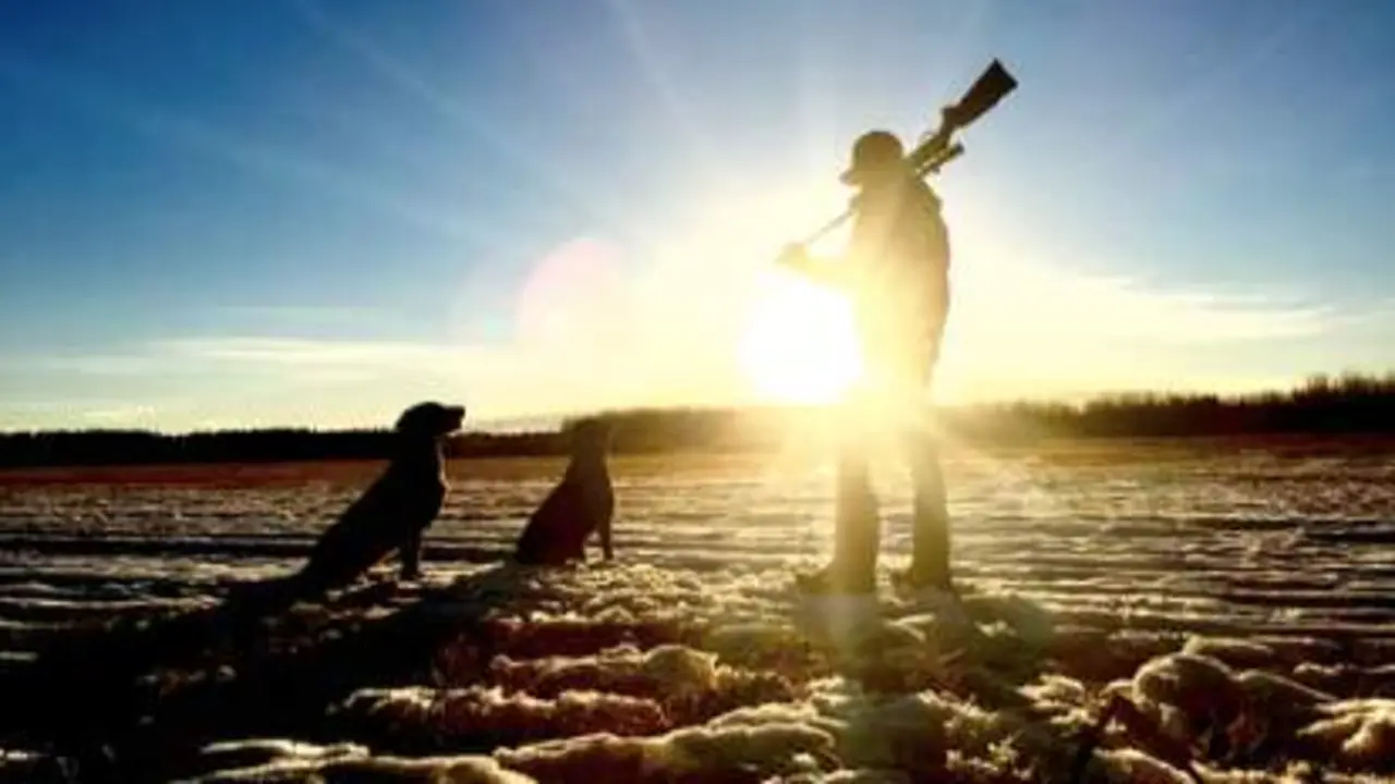  Fuente: unsplash<br>Cazador 