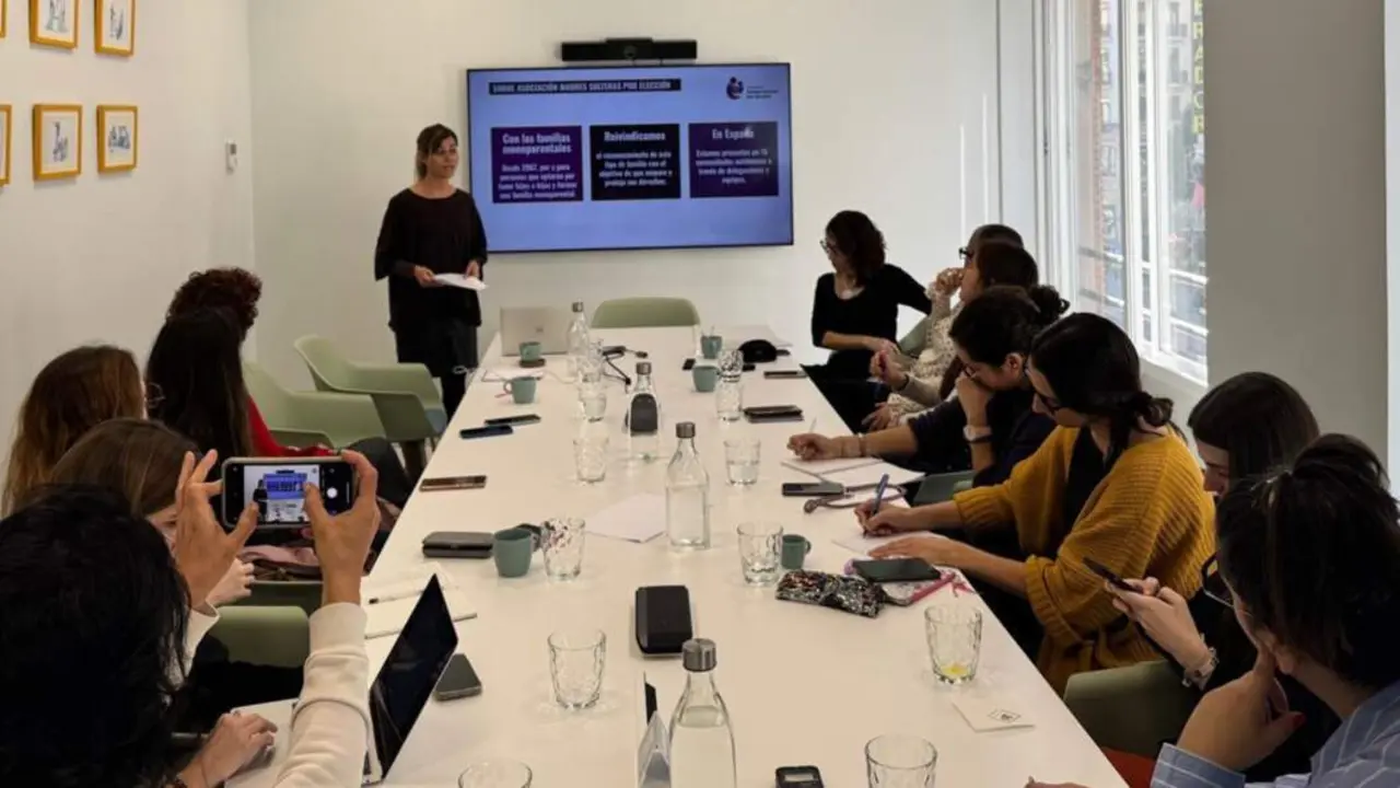  Rueda de prensa de la Asociaci&oacute;n de Madres Solteras por Elecci&oacute;n. - beBartlet 