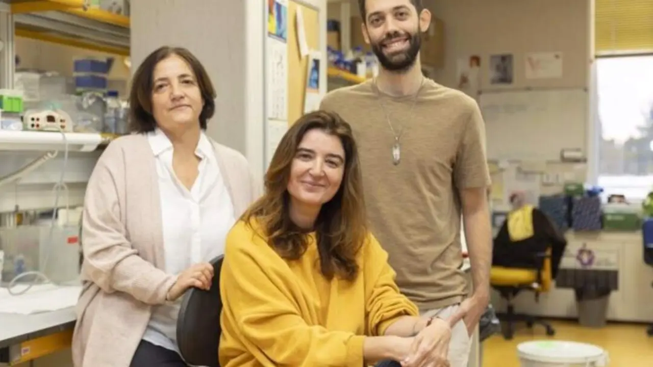  Archivo - De izquierda a derecha: Ana Losada, Ana Cuadrado y Daniel Gim&eacute;nez-Llorente, investigadores del Centro Nacional de Investigadores Oncol&oacute;gicas (CNIO) - LAURA M. LOMBARD&Iacute;A / CNIO - Archivo 