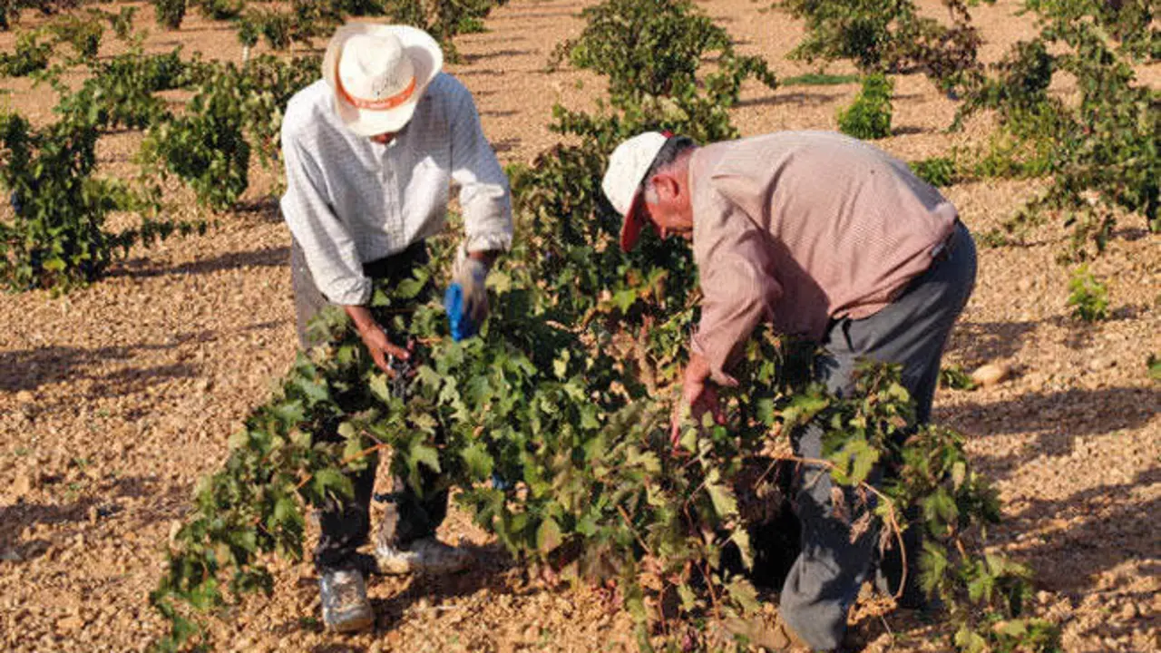  Agricultores espa&ntilde;oles. ARCHIVO 