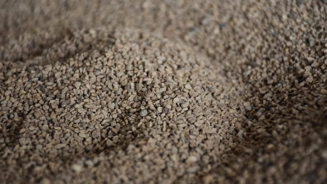  El hueso de aceituna: una alternativa sostenible para combatir el fr&iacute;o 