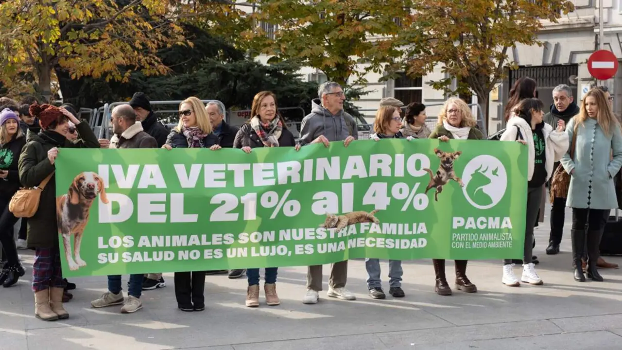  Manifestantes durante la concentraci&oacute;n de PACMA por la bajada del IVA veterinario, frente al Congreso de los Diputados, a 17 de diciembre de 2024, en Madrid (Espa&ntilde;a). - Alejandro Mart&iacute;nez V&eacute;lez - Europa Press 