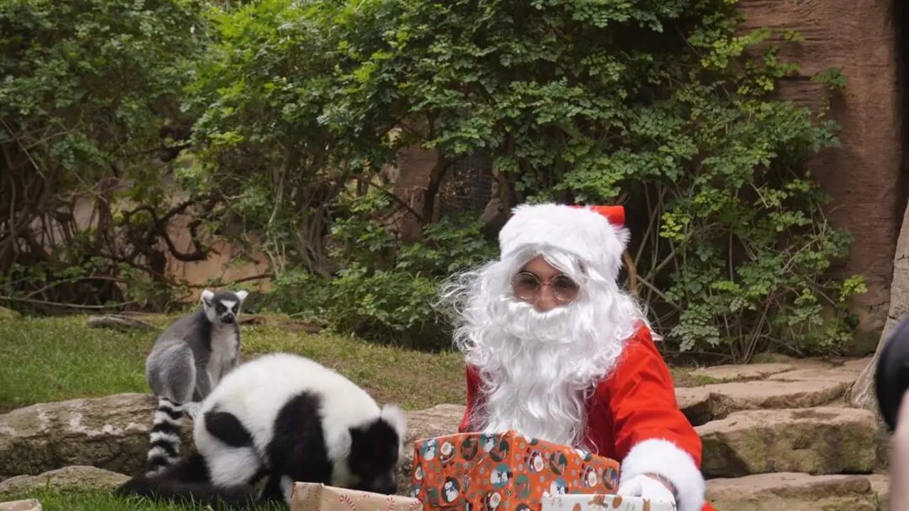  Pap&aacute; Noel visita Bioparc Fuengirola | NP Bioparc Fuengirola 