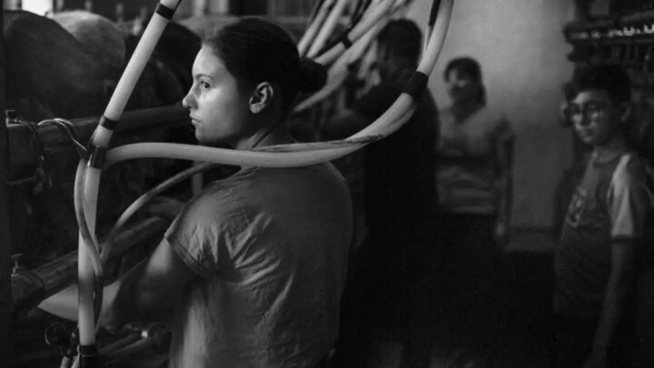  Un orde&ntilde;o en familia | NP CAPADR 