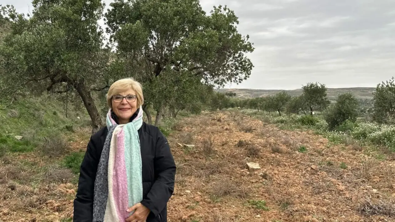  'El Olivar De Pilar' - APADRINAUNOLIVO.ORG 