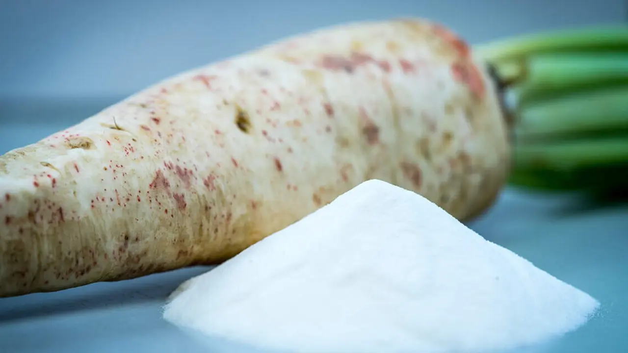  Asocian el consumo de fibras de ra&iacute;z de achicoria a un mejor control del peso 