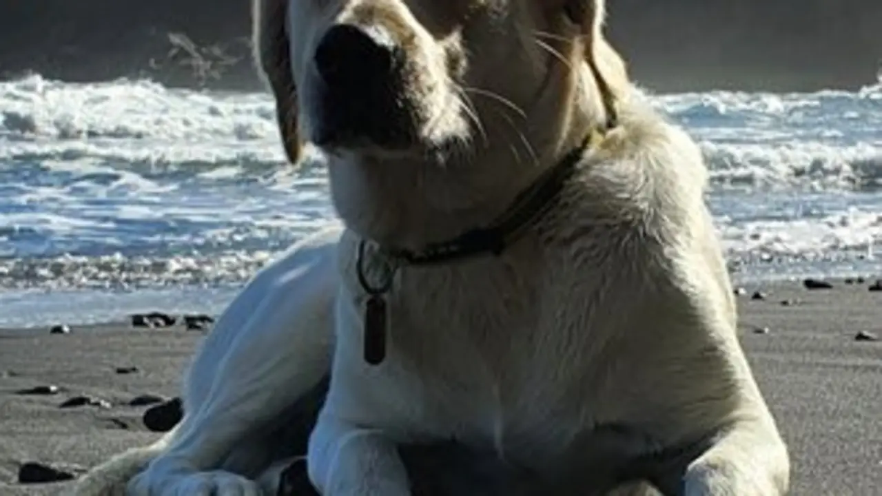  Tarz&aacute;n Trailrunner @tzntrail | NP Influencer Awards Spain 2024 