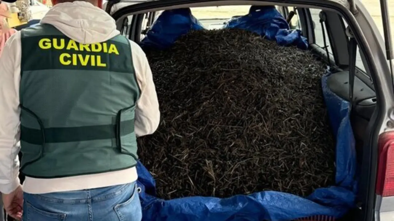  NP Guardia Civil | Aceituna Puente Genil 