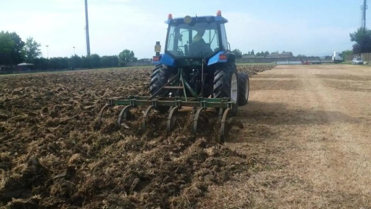  Sector agrario. ARCHIVO 