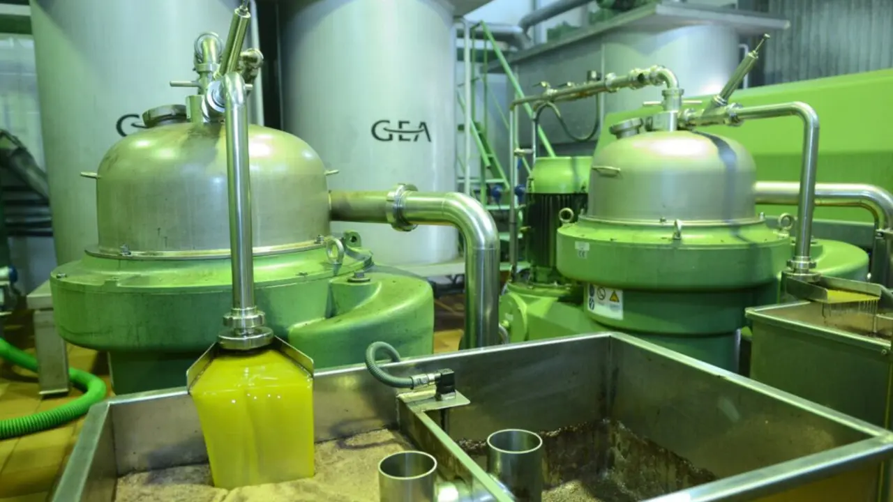  Aceite de oliva en una almazara. 