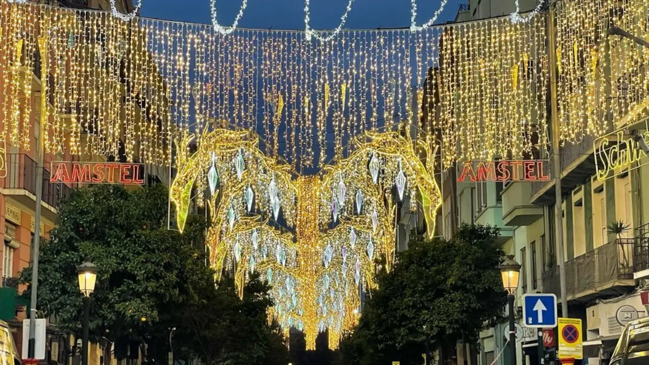  Falla Cuba Puerto Rico | NP Ximenez Group 