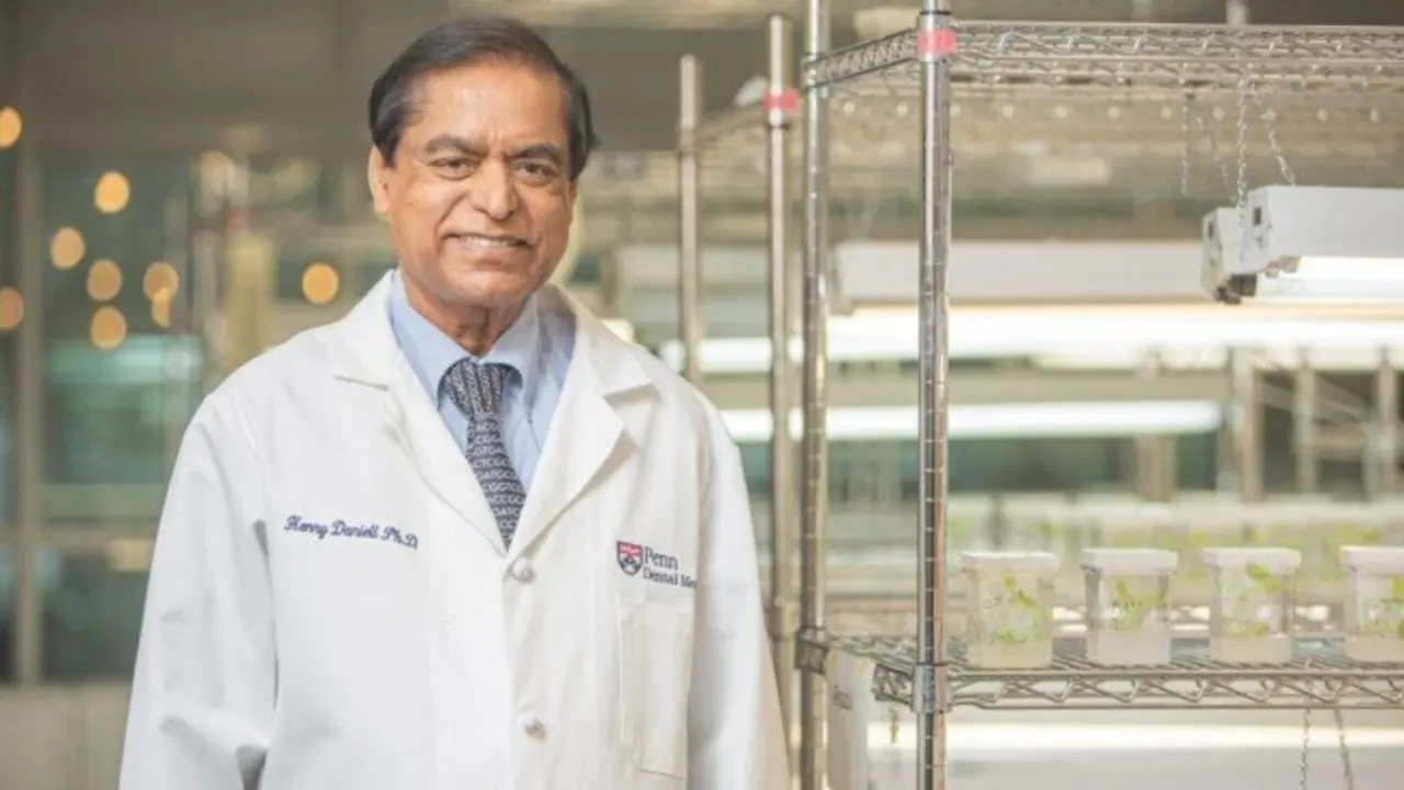  Cient&iacute;ficos desarrollan un chicle antiviral con extracto vegetal que neutraliza gripe y herpes 