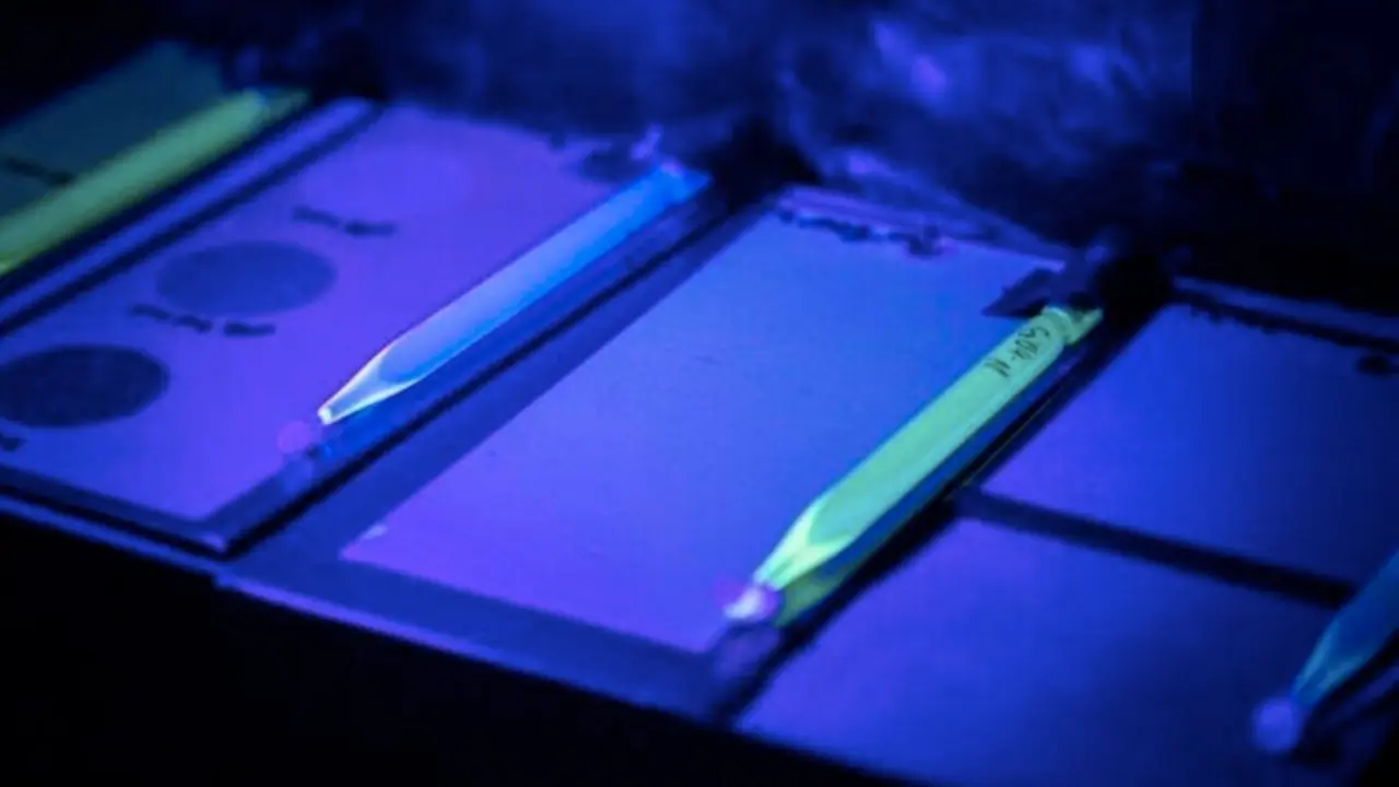  D&iacute;a Mundial de la Cu&aacute;ntica - FEDIT | EP 